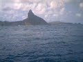 Golfinhos em Fernando de Noronha - Por: N�da