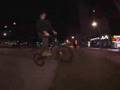 Animal bmx video