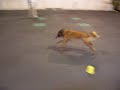 Wiley - Training Session