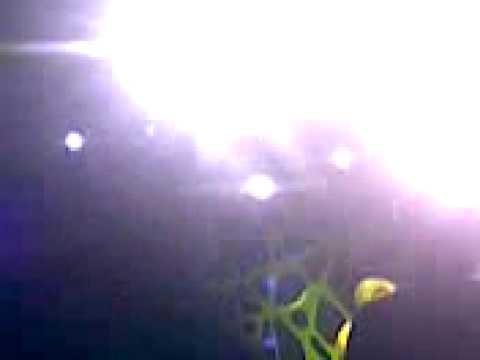 Ven y Criticame - CALLE 13 - 17/04/09 - GEBA