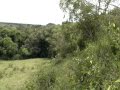 Las Tablas land for sale 3.45 hecs