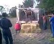 DESCARGA DE CABALLOS EN FESC-4 1