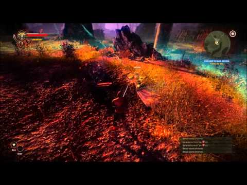 The Witcher 2 : Assassins of Kings