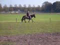 rijden met Bleikja rijden met Bleikja