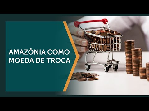 ONGs atuam no Brasil sob o pretexto de proteção ambiental