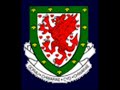 Cymru Am Byth Cymru Am Byth