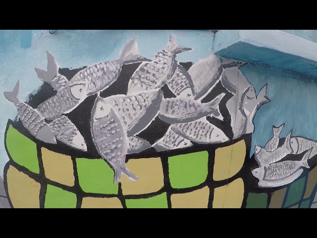 2017年安南區社造影像-悠遊山海圳綠道