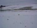 todds wipe out