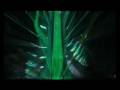 videos de Myrrha Laser Drama