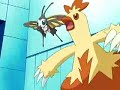 Mey (Beautyfly and Combusken) vs Drew (Buterfree and Roselia