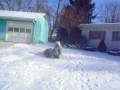 MOV06443