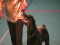 IAMS SUPERDOG SHOW- Pradeep Wijesooriya