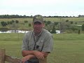 Dog Bytes 3