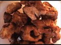 The Cajun Wife smokes garfish from an old family recipe for brine. After it is smoked she smothers it in a tomato gravy. Classic Cajun music from Dewey Balfa, Marc Savoy and DL Menard is used in this video. This episode is based on an article, Les Vieux Temps, written by Floyd Knott for the Teche News. Picture of garfish is by Rose Knott.