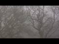 videos de View From a Window 1