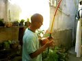 Camillo Capoeira Afinando Berimbau Camillo Capoeira Afinando Berimbau