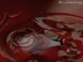 Strawberry Syrup Splashes @ 2000 fps