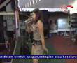 dandut zroet(goblok)
