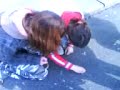 alca vs  verca