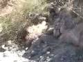 hershoestrail.wmv