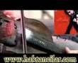 Murat Sakaryali - www.haktancilar.com