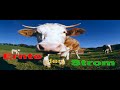 See Video