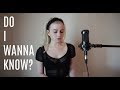 Do I Wanna Know - Arctic Monkeys (Cover by Holly Henry)