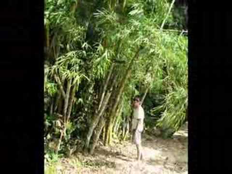 Groove Armada - At The River ...