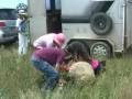 videos de Operation Swagman