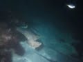 Click here to watch this video 20120519yawatano.AVI