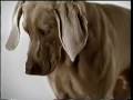 videos de Oakley's commercial, May 2004