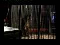 Making of Dim Osmose