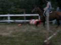 Willow canter