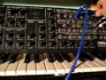 Korg MS 20 + Korg SQ 10 + Korg KR 55 + Roland RE 201 + ...............