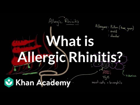 how to treat rhinitis
