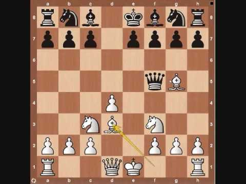 chess knight