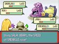 Pokemon 2vs2 Battle - Exploder + Jynx + Smeargle