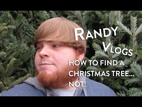 how to replant christmas tree