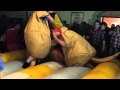 Eamonn The Bone Crusher Brady V's Padraig Lights Out McKenna