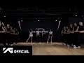 Pink Venom DANCE PRACTICE VIDEO 