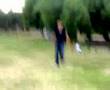 videos de I PLACCAGGI