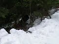 Snowboard backflip ;]