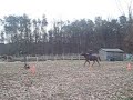 Casey and April Jumping!