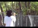 Monkey Business