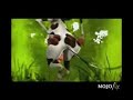 The crazy Cow (Die bekloppte Kuh)