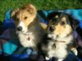 unsere Cissy und Sinja