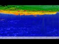 Sea Surface Temperature (SST), drifter buoy and fish model data in Eonfusion