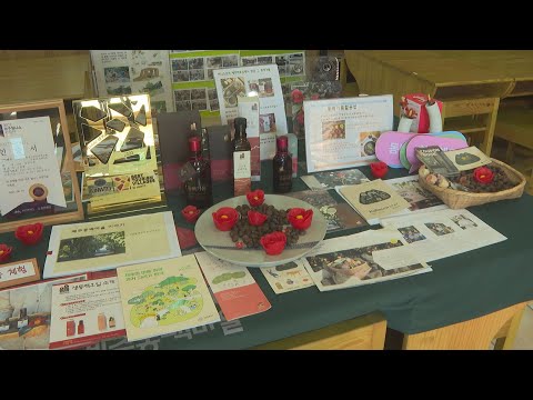 연합뉴스TV - 유엔 선정 세계 최우수 관광마을로 거듭난 제주 동백마을