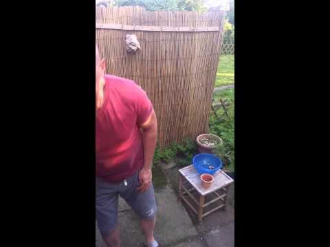 Was wirklich gegen Wespen hilft