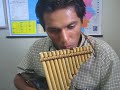 charango y zampoña cumbia: me enamore de ti   perú